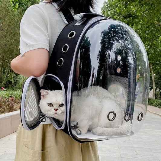 Transparent Cat Carrier Backpack – Breathable & Portable Pet Travel Bag